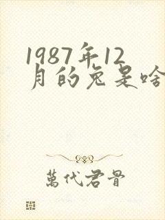 1987年12月的兔是啥命