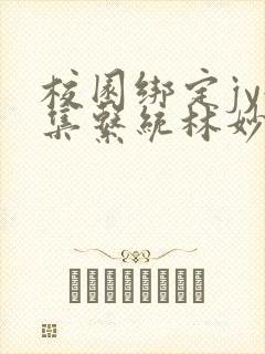 校园绑定jy收集系统林妙妙封面