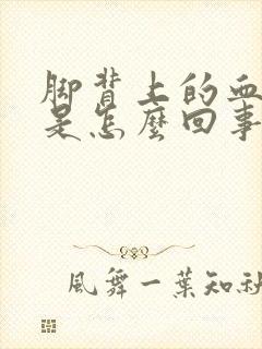 脚背上的血管疼是怎么回事