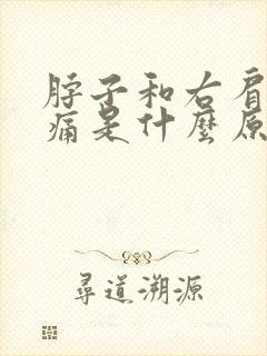 脖子和右肩膀疼痛是什么原因