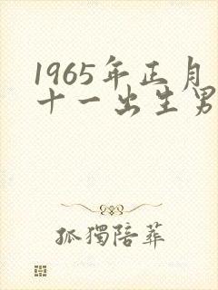 1965年正月十一出生男命运