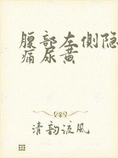 腹部左侧隐隐作痛尿黄封面