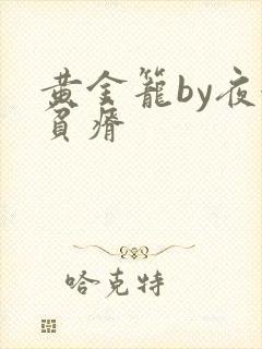 黄金笼by夜很贫瘠封面