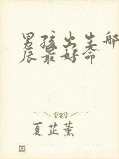 男孩出生哪个时辰最好命