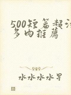 500短篇超污多肉推荐