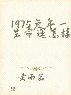 1975兔年一生命运怎样
