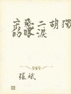 宋飞二胡独奏娘的眼泪