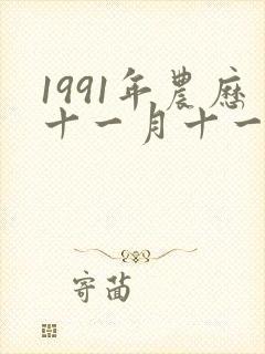 1991年农历十一月十一是什么命