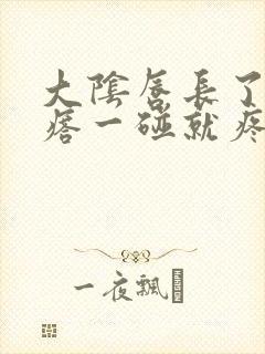 大阴唇长了个疙瘩一碰就疼