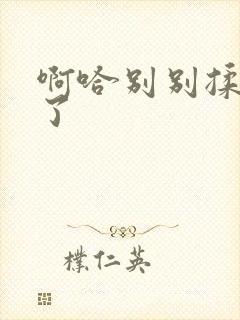 啊哈别别揉那处了