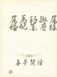 属马的与属龙的婚配怎么样