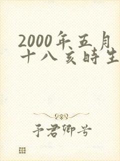 2000年五月十八亥时生男孩命运