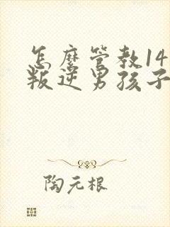 怎么管教14岁叛逆男孩子