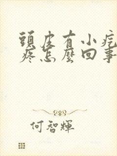 头皮有小疙瘩还疼怎么回事封面