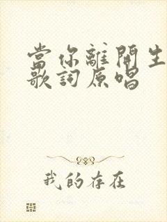 当你离开生长的歌词原唱