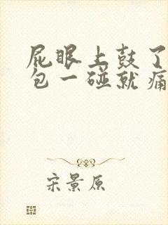 屁眼上鼓了一个包一碰就痛