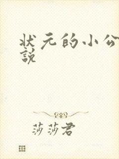 状元的小公主小说