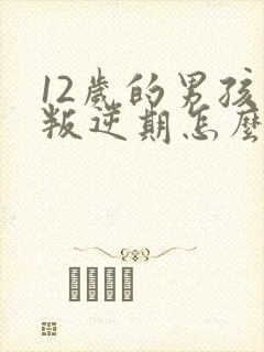 12岁的男孩子叛逆期怎么办