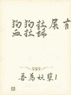 狗狗拉屎有些带血拉稀封面
