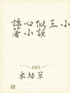 锦心似玉小说原著小说