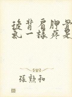 后背肩胛骨跟岔气一样疼是怎么了封面