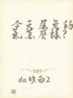 今天属兔的人运气怎么样?