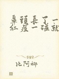 鼻头长了一个大红痘一碰就疼