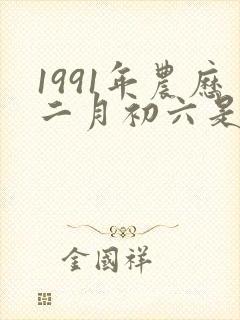 1991年农历二月初六是什么命