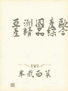 亚洲国产欧美国产精品综合久久封面