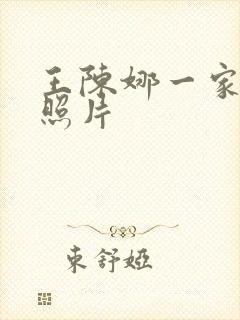 王陈娜一家三口照片