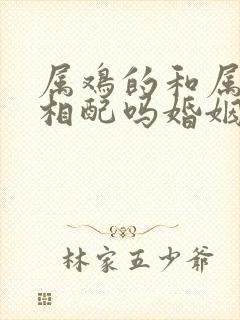 属鸡的和属龙的相配吗婚姻