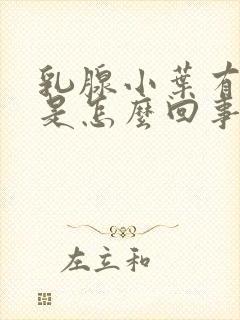 乳腺小叶有增生是怎么回事