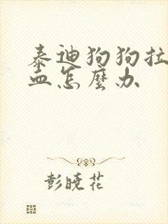 泰迪狗狗拉稀带血怎么办