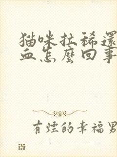 猫咪拉稀还有点血怎么回事