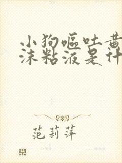 小狗呕吐黄水泡沫粘液是什么原因