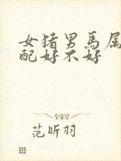 女猪男马属相婚配好不好