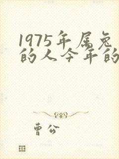 1975年属兔的人今年的运气怎么样