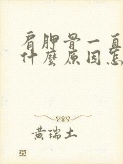 肩胛骨一直疼是什么原因怎么办