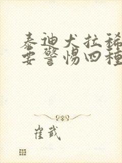 泰迪犬拉稀带血要警惕四种病封面