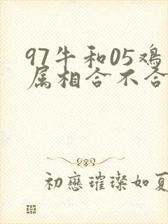 97牛和05鸡属相合不合封面