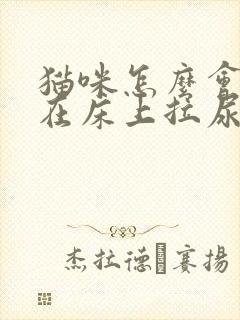 猫咪怎么会突然在床上拉尿