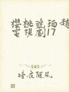 樱桃琥珀赵今麦电视剧17