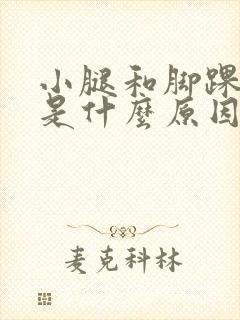 小腿和脚踝肿胀是什么原因引起的