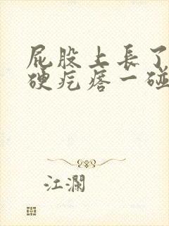 屁股上长了一个硬疙瘩一碰就疼