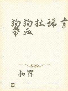 狗狗拉稀有粘液带血