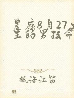 农历8月27出生的男孩命运