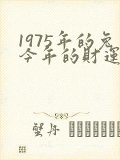 1975年的兔今年的财运怎样?