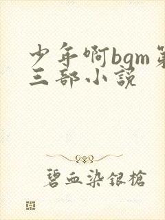 少年啊bgm第三部小说封面