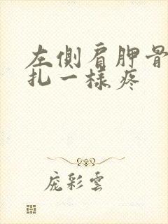 左侧肩胛骨缝针扎一样疼