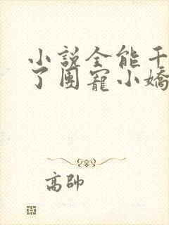 小说全能千金成了团宠小娇娇txt